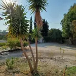 Nerissa 3, Two Bedroom House ספרטיה